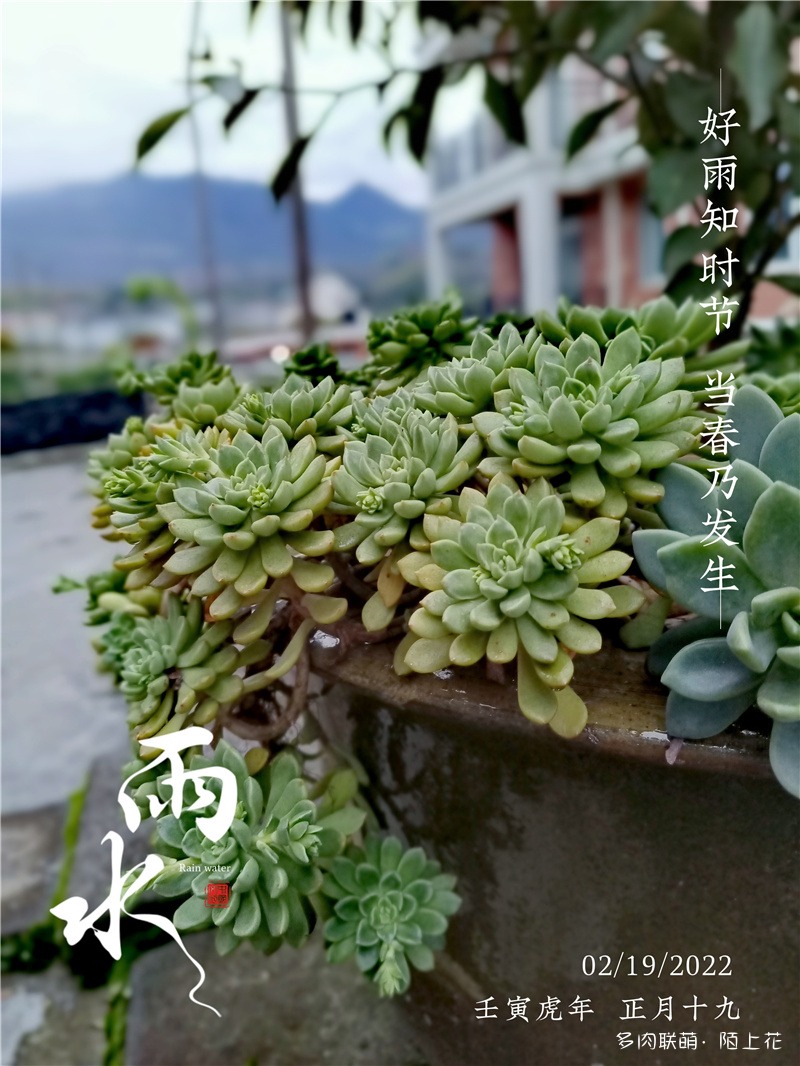 好雨知时节