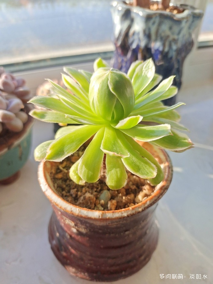 法师