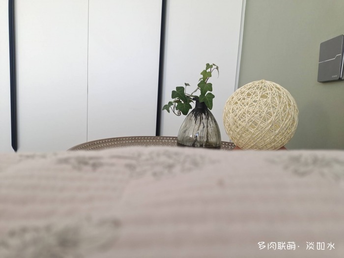 喝一杯咖啡，看手机里的多肉
