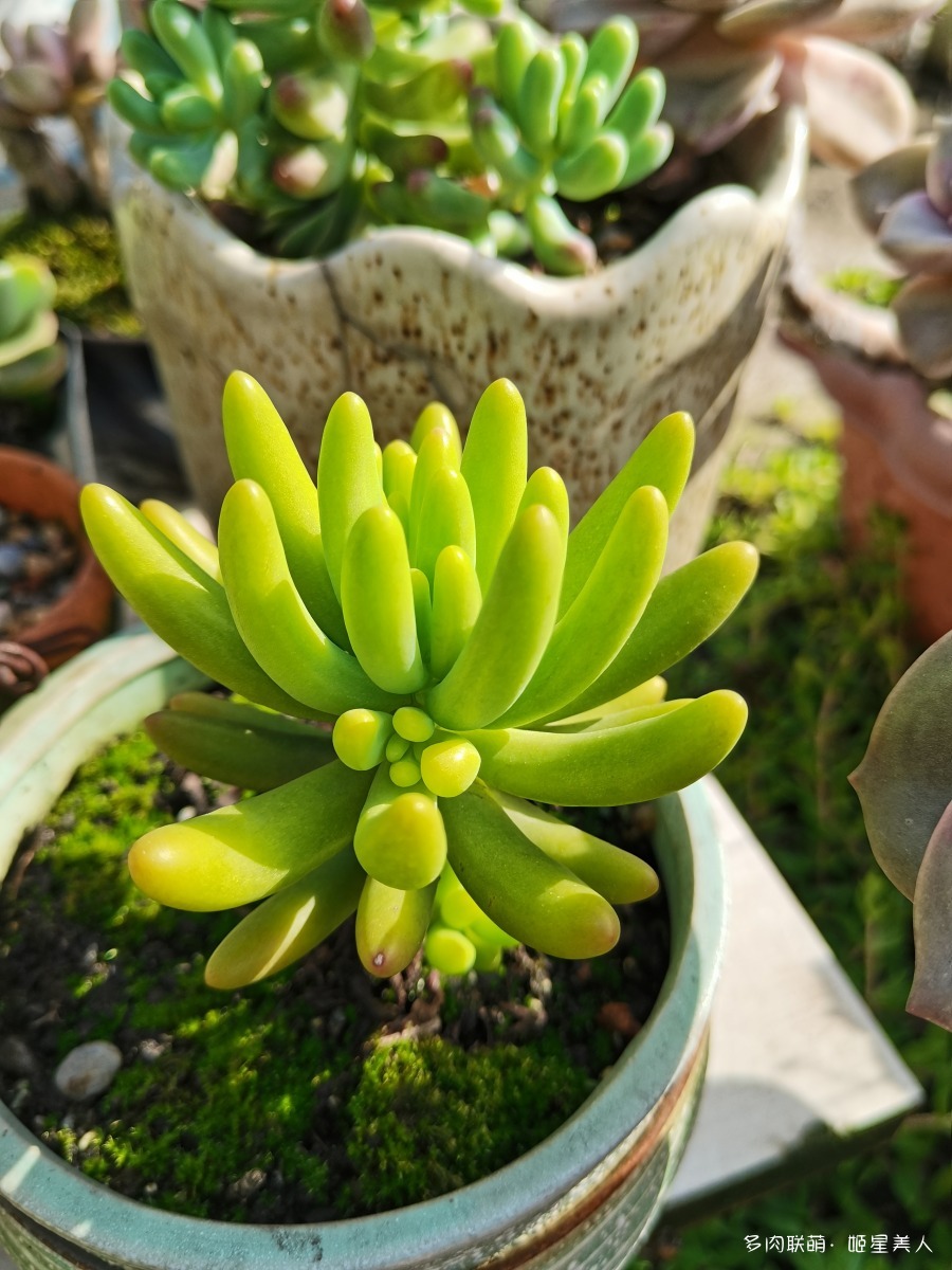 八千代
