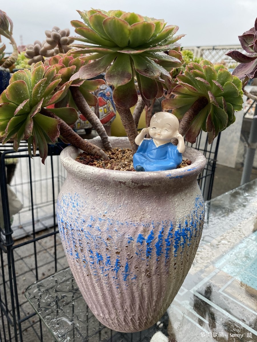 嘉年华