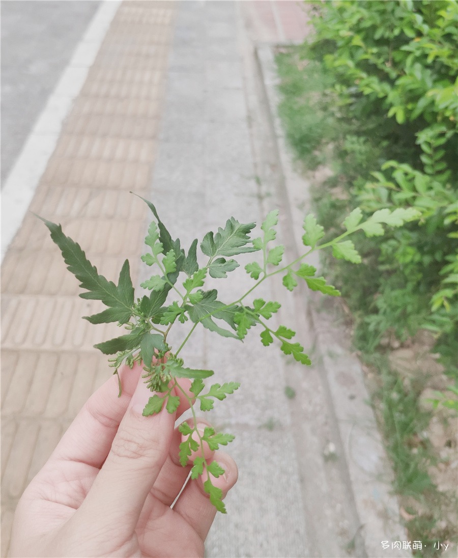 夏日味道