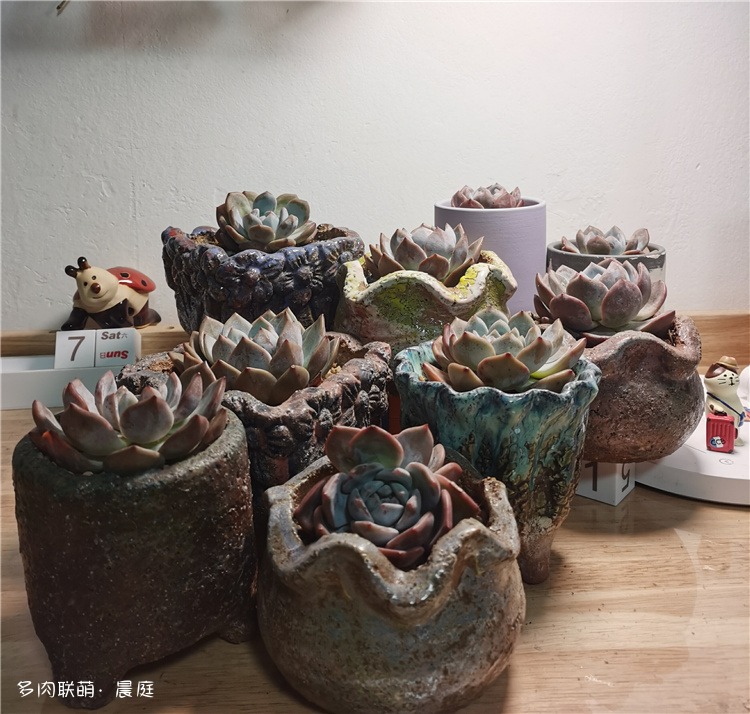 橙子