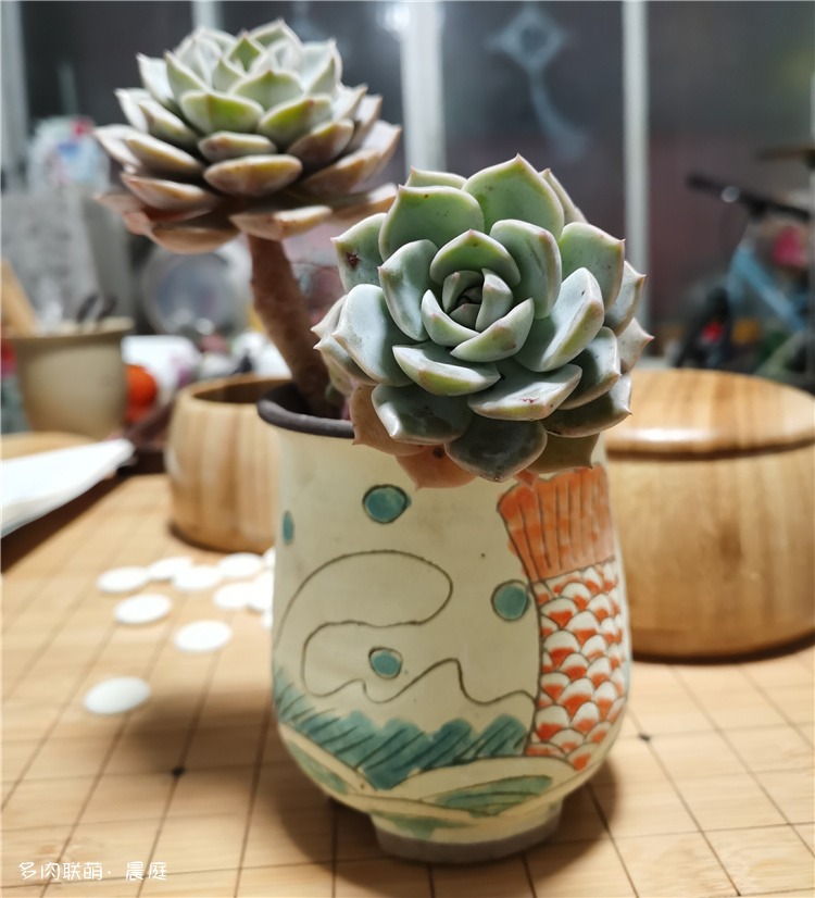 白雪
