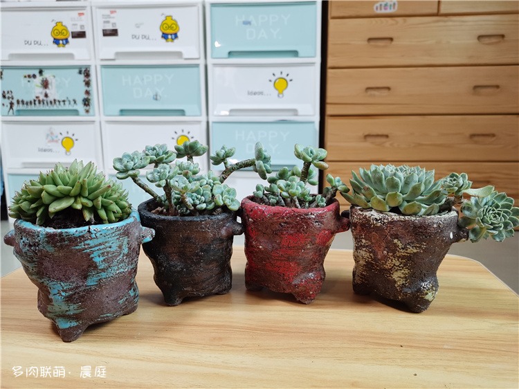 虎鲸缀，劳尔，还有不知名