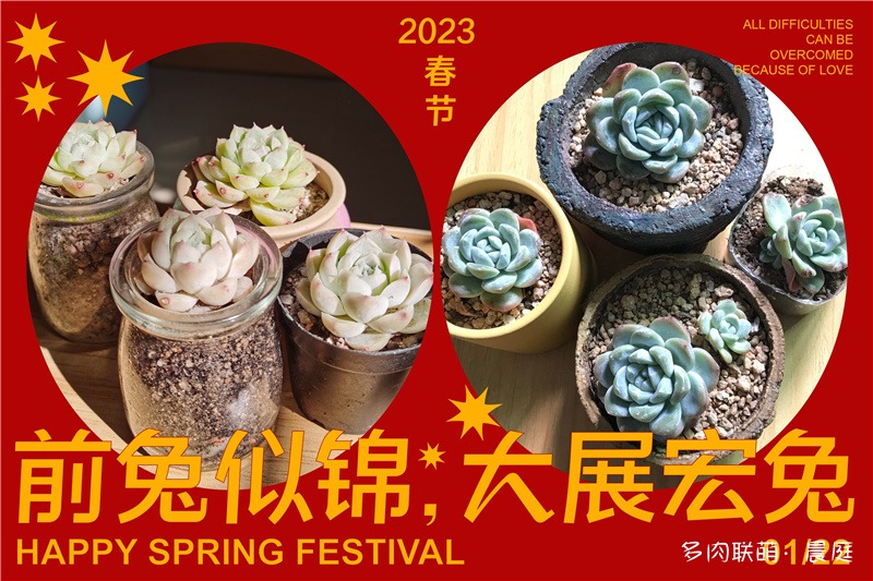 冰玉