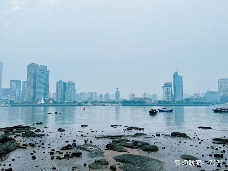 晨曦里的鼓浪屿海边。