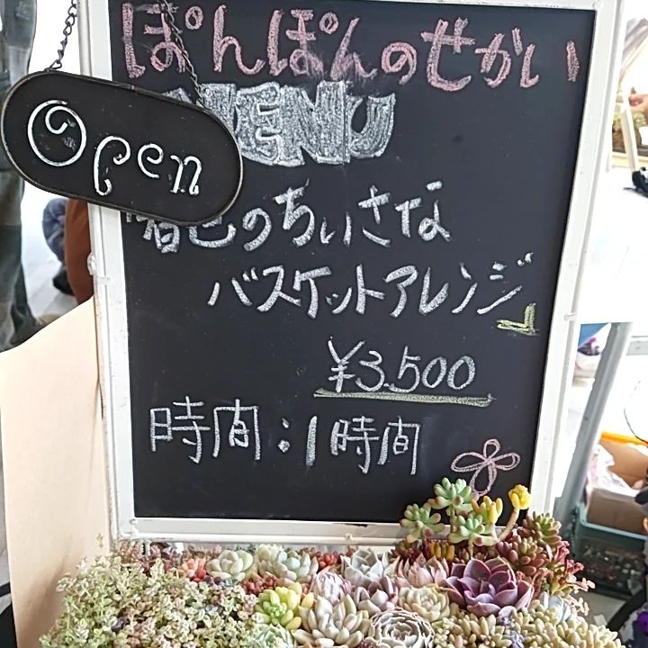 多肉造型展