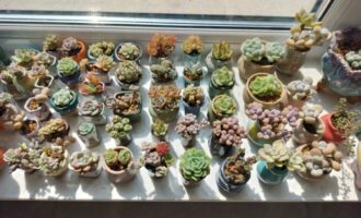 天气虽热，热不过内心的热爱
