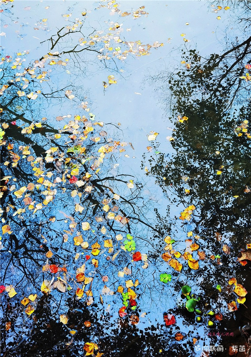 桂林的秋天
