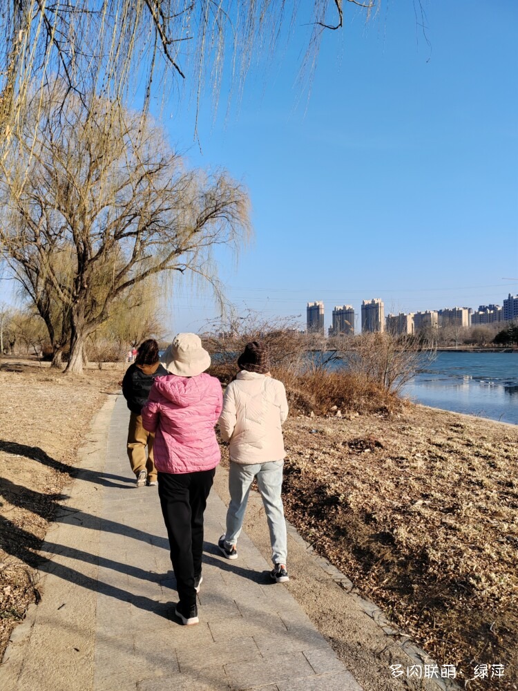 山东潍坊二月风光与多肉