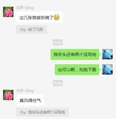 多肉群里聊天