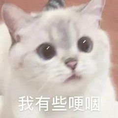 无言