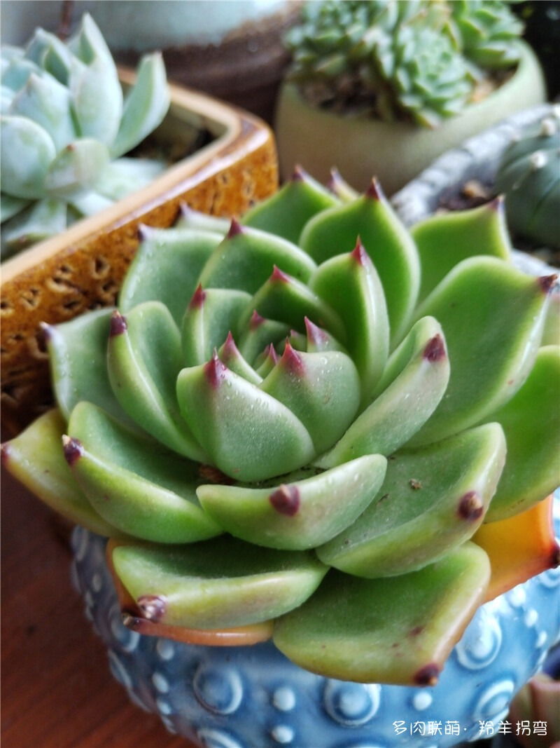 月亮石