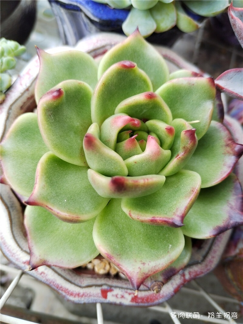 万宝龙
