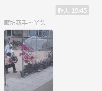 看仙人球开花