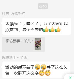 看仙人球开花