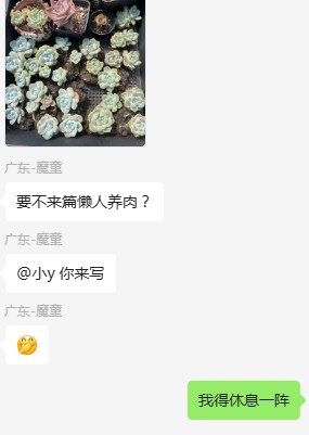关于冰玉