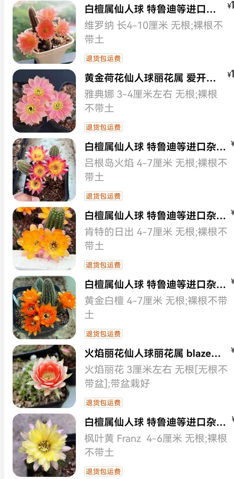 白檀杂