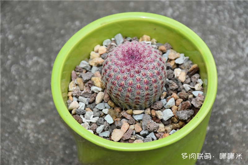太阳