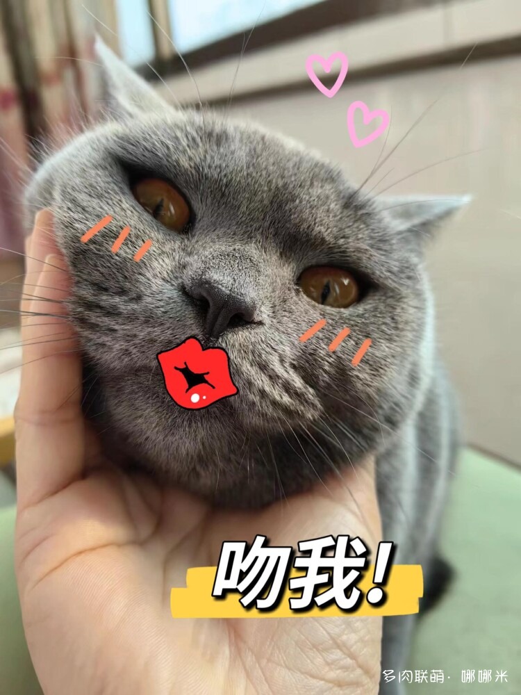 为多肉动了哪些歪心思