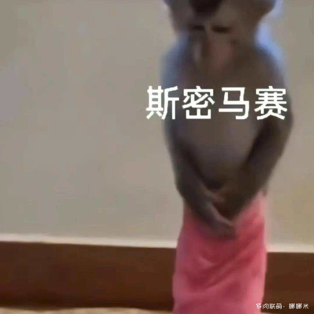 买多肉，种多肉