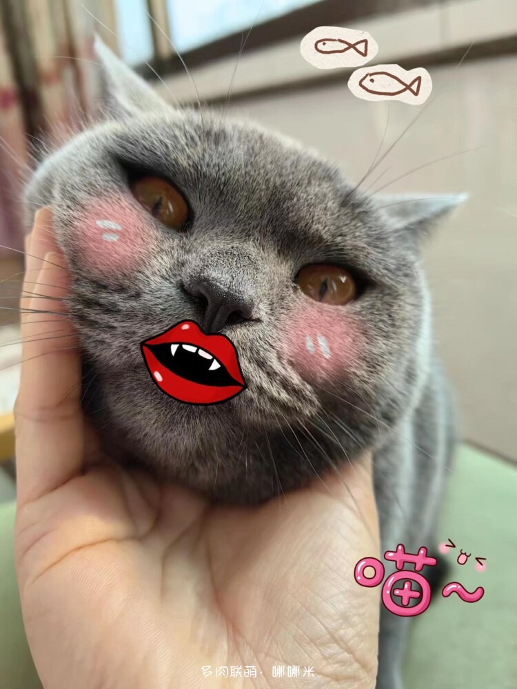 养多肉走过的弯路