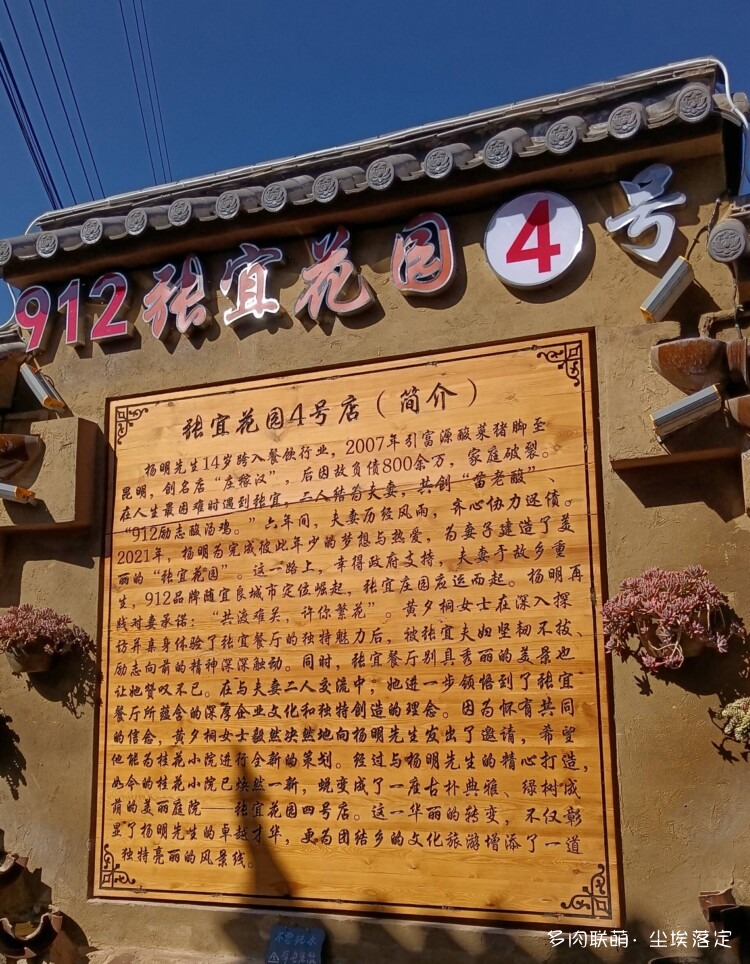 云南昆明多肉随拍