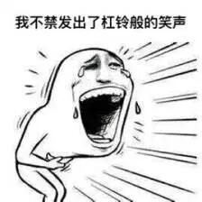 橙子系多肉