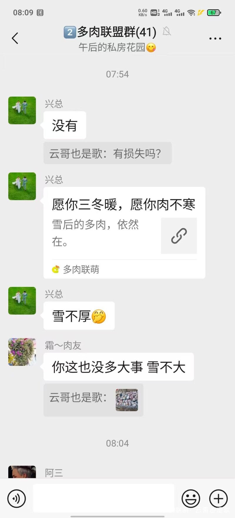 下雪了，多肉