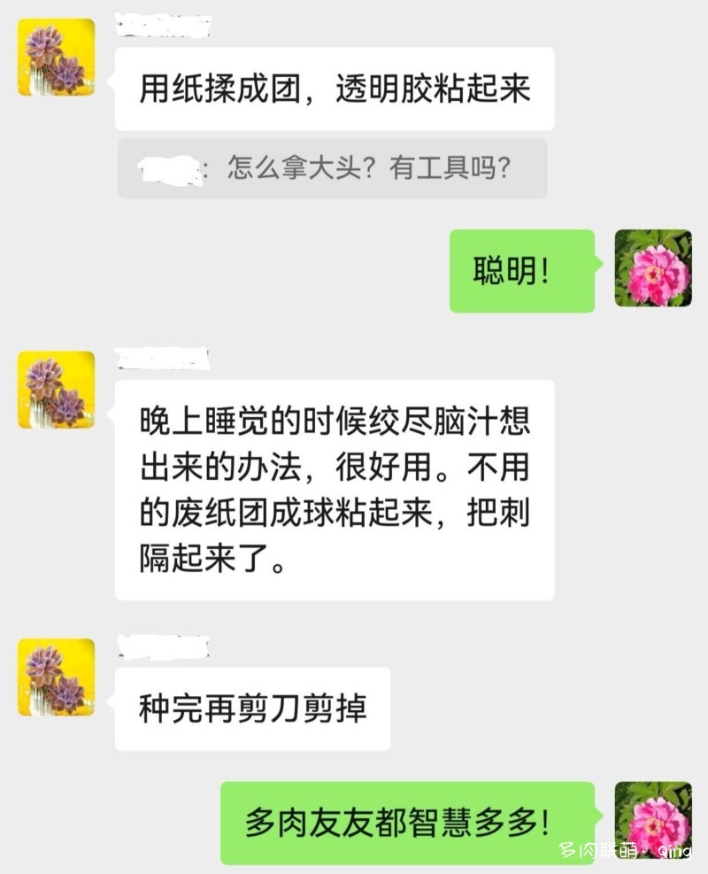 有一颗金琥