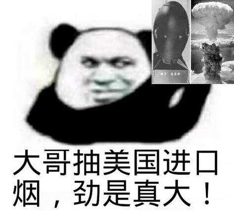 重生也要买多肉