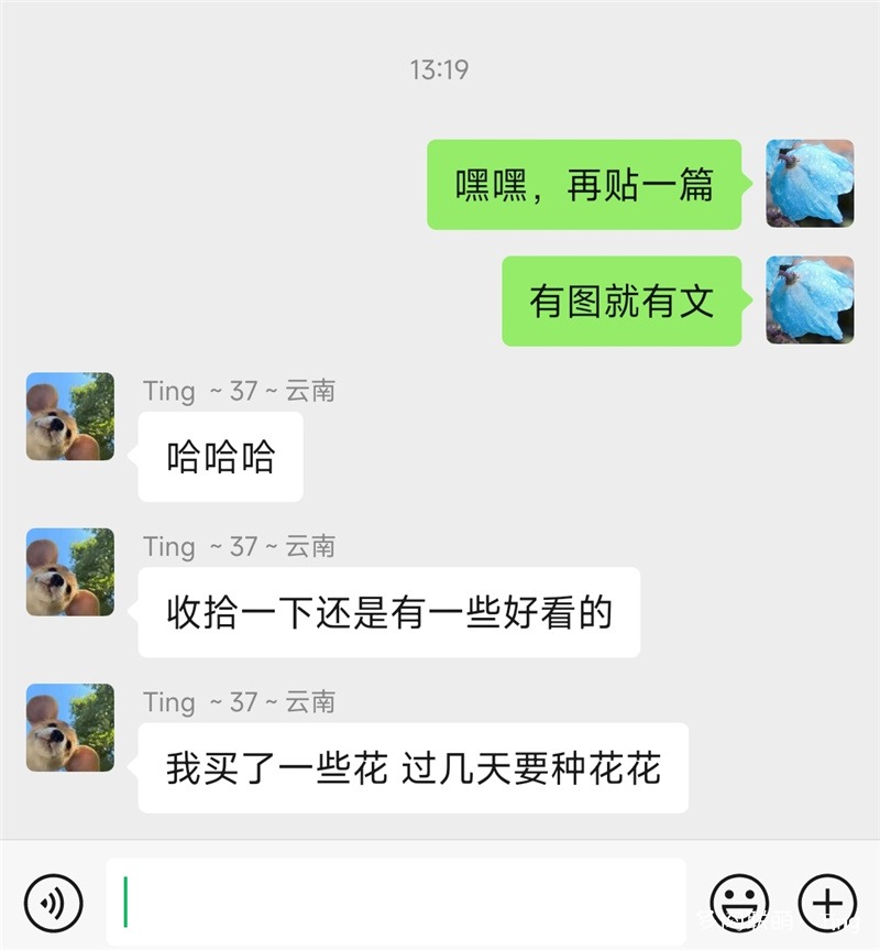与ting同行