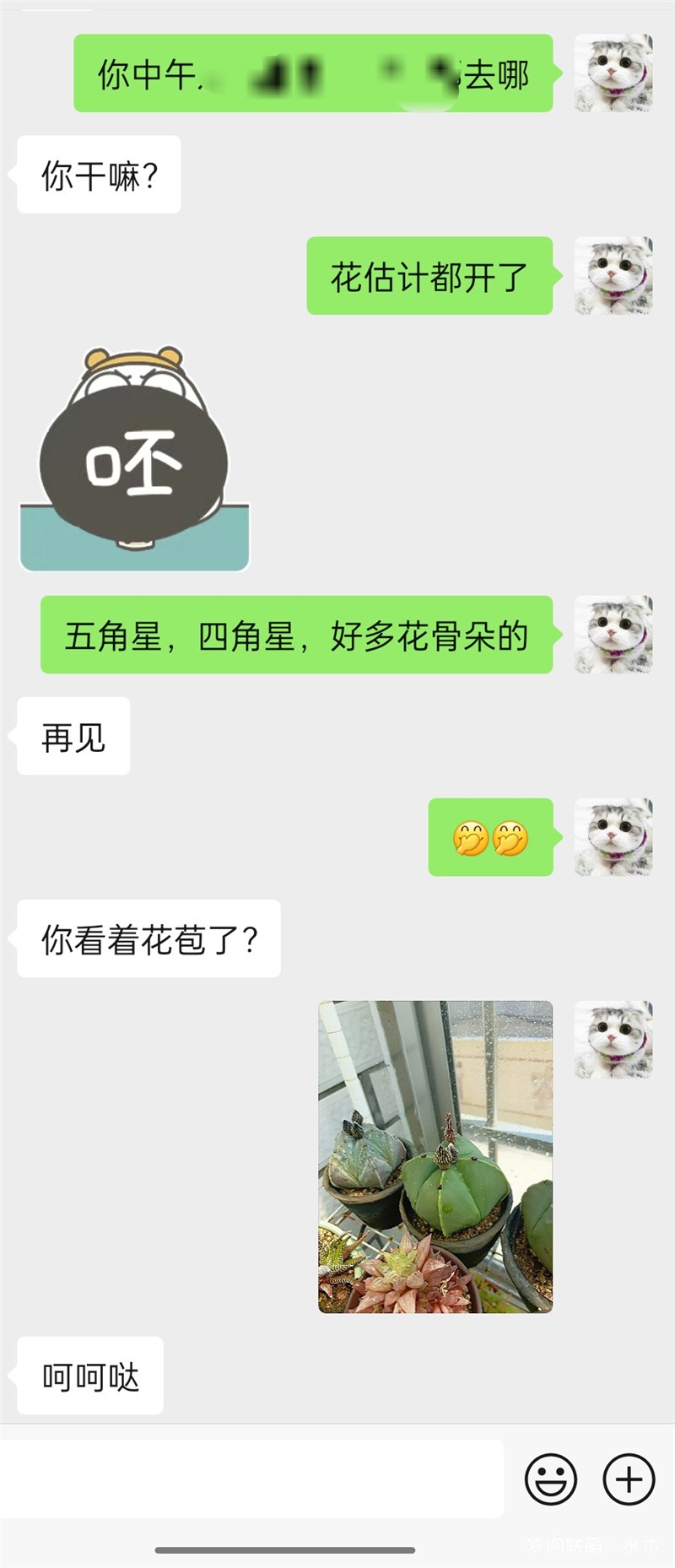 花钱请人看（拍）花