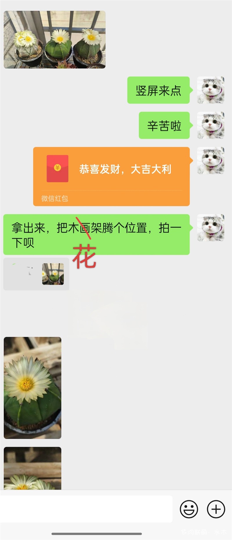 花钱请人看（拍）花