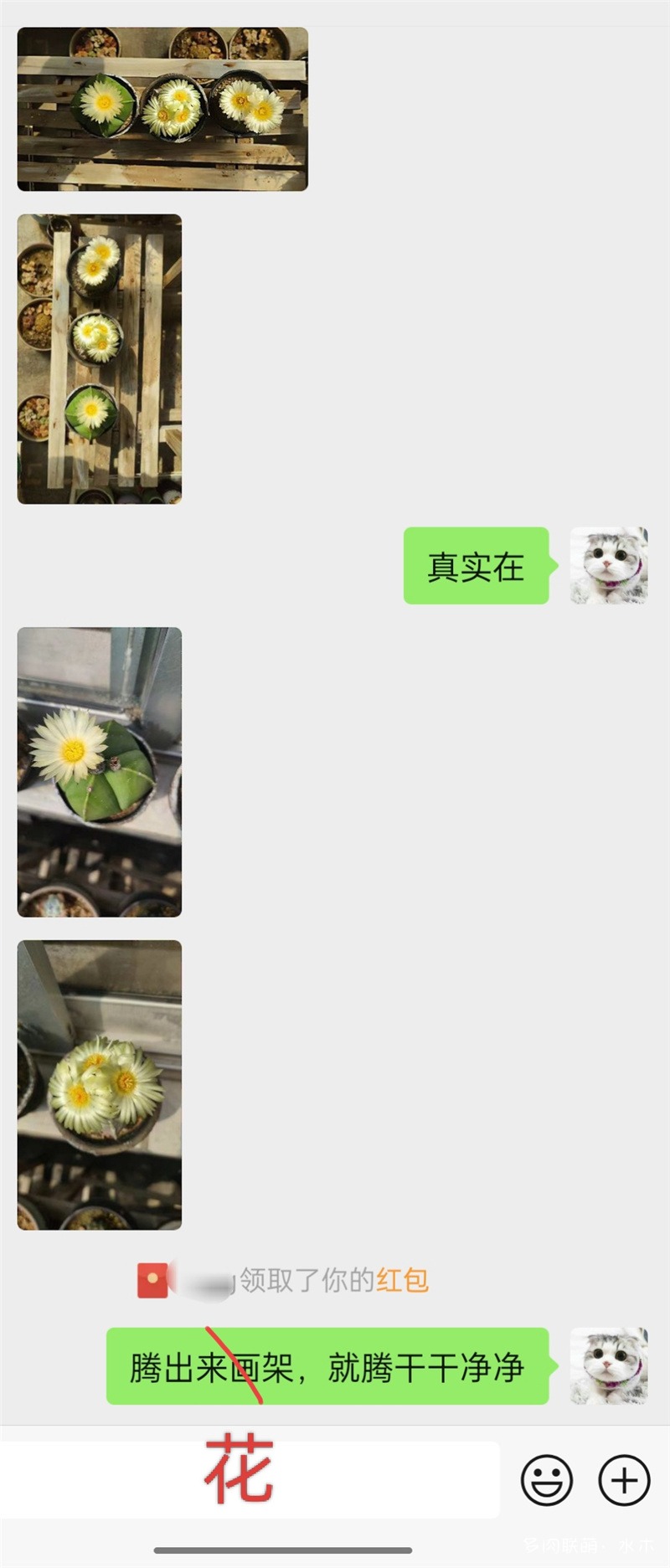 花钱请人看（拍）花