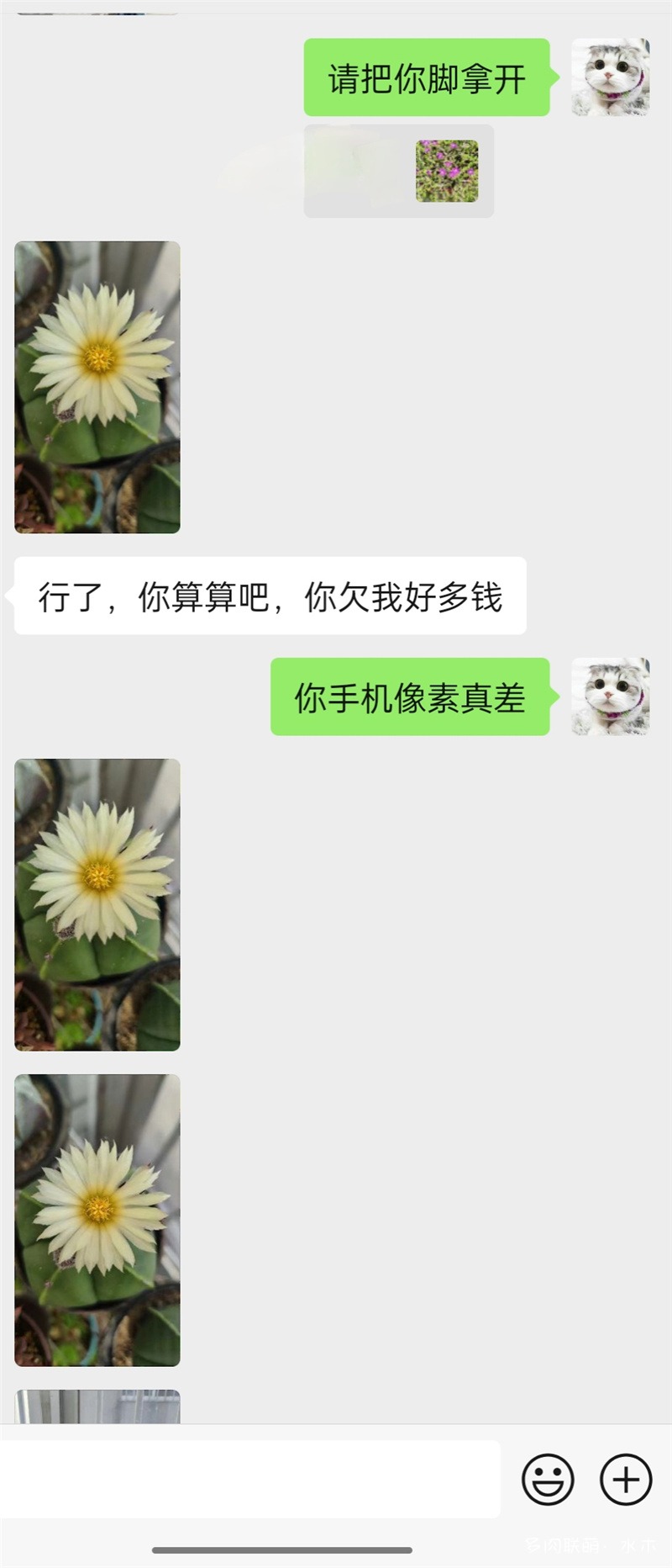 花钱请人看（拍）花
