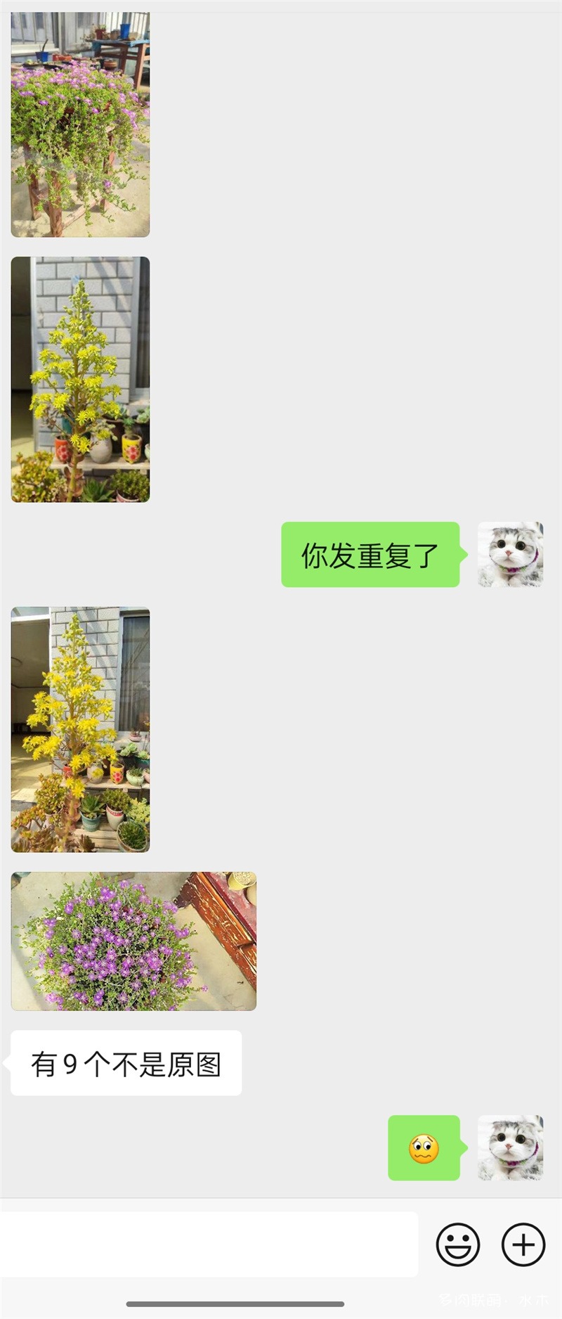 花钱请人看（拍）花