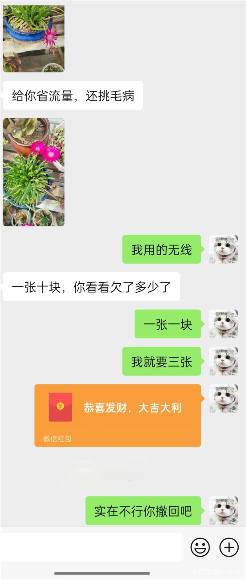 花钱请人看（拍）花