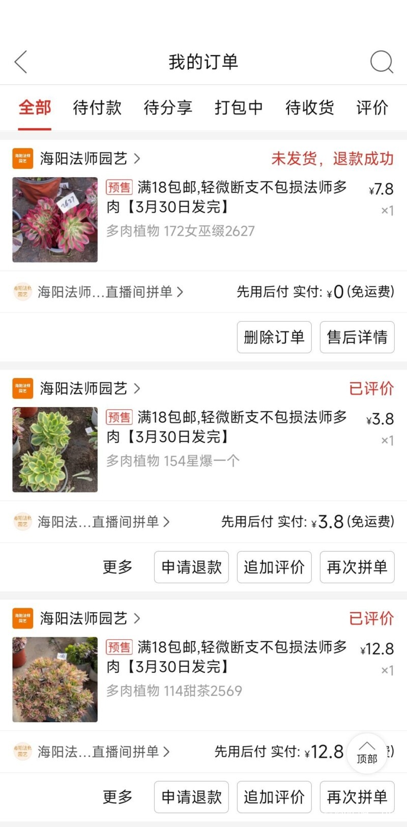 网购多肉店铺，买法师