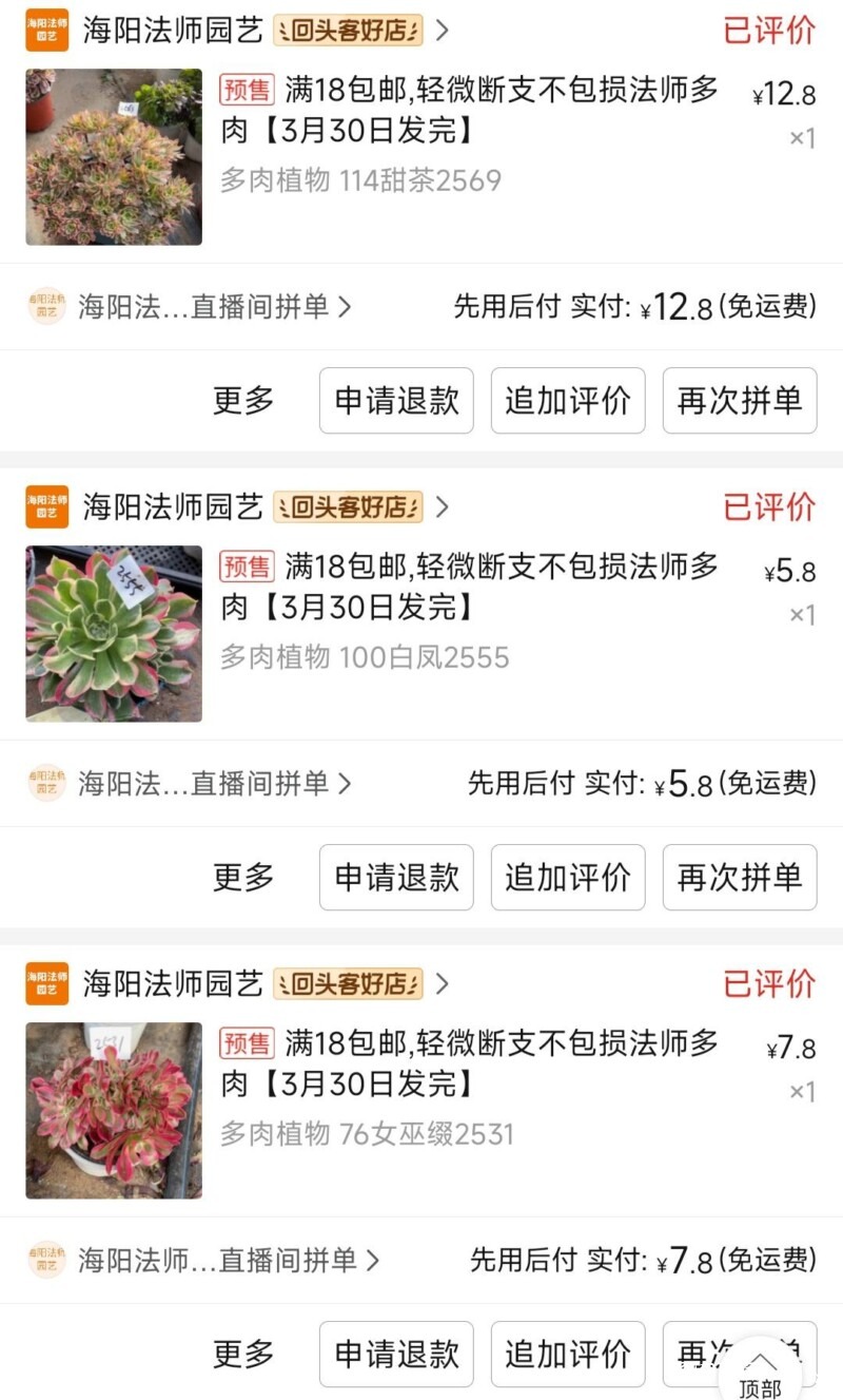 网购多肉店铺，买法师