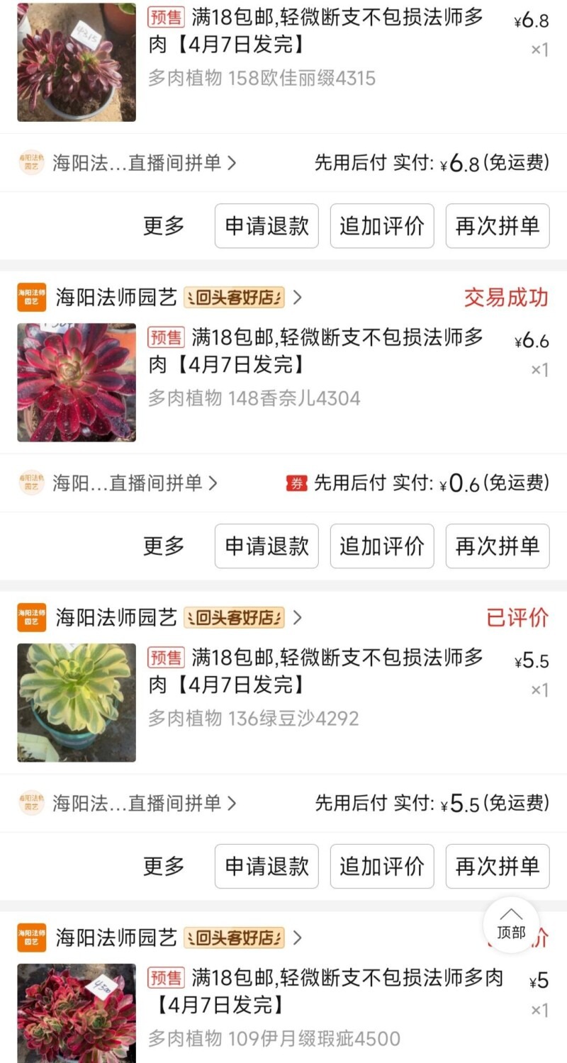 网购多肉店铺，买法师