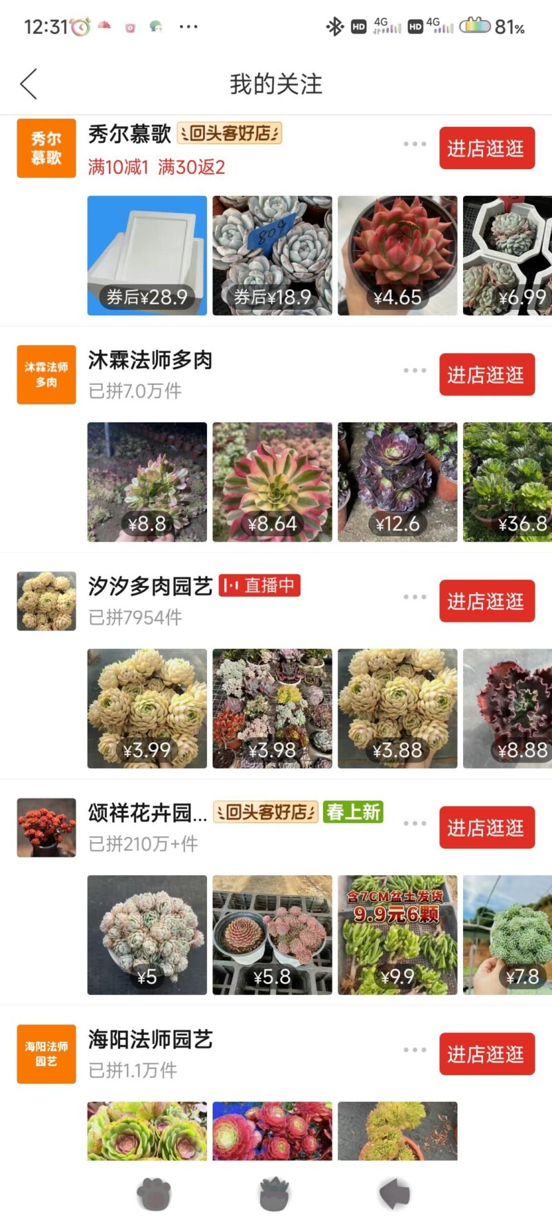 网购多肉店铺，买法师