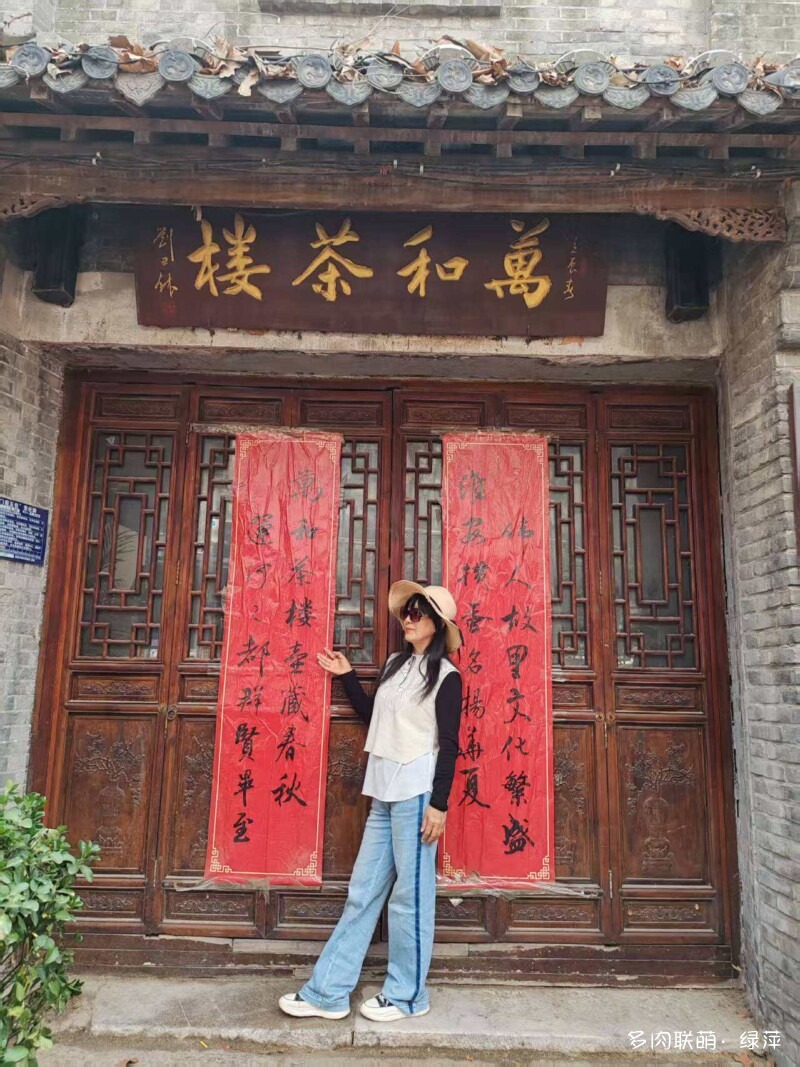 四月，山东多肉小院的多肉