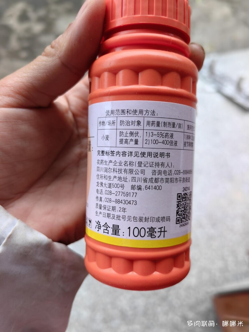 给多肉用药的一点小尝试
