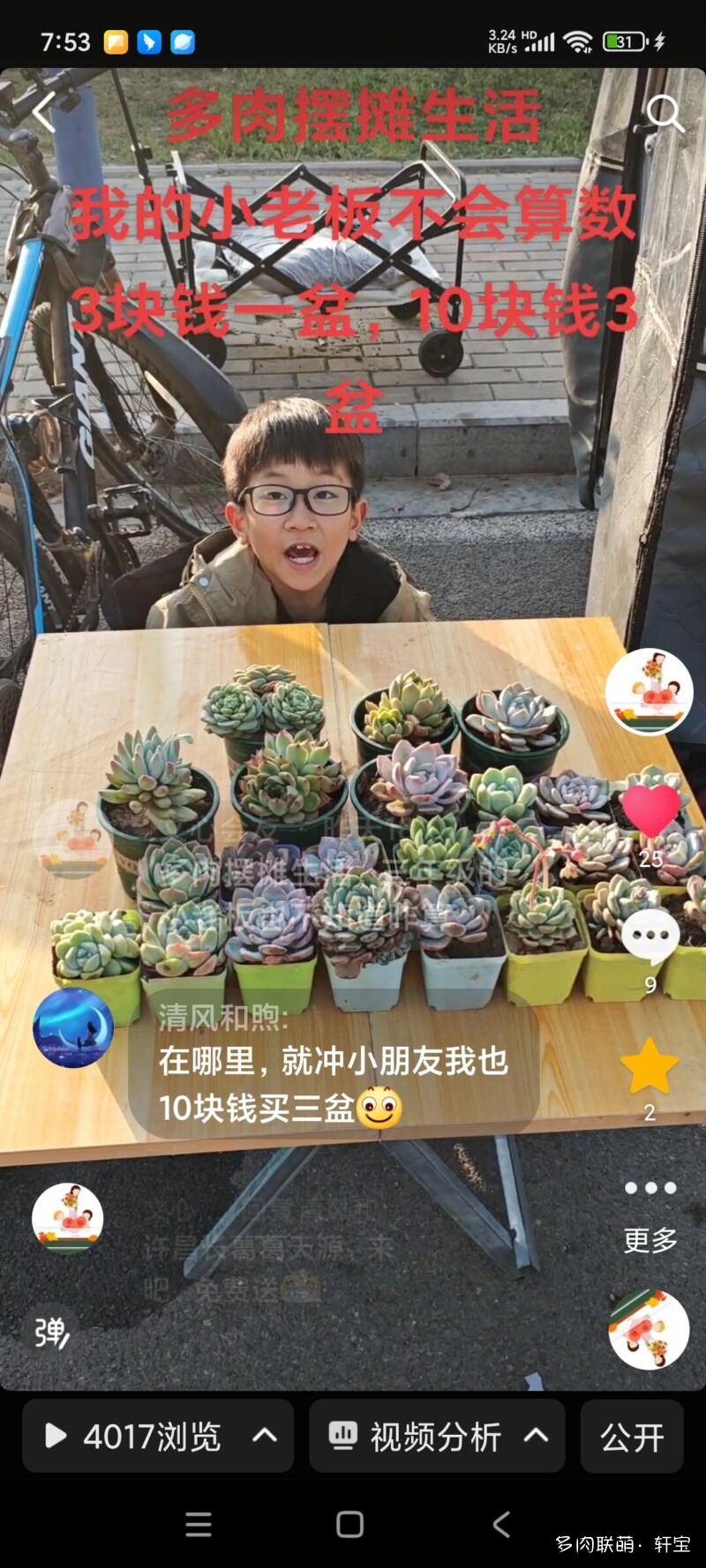 摆摊，卖多肉