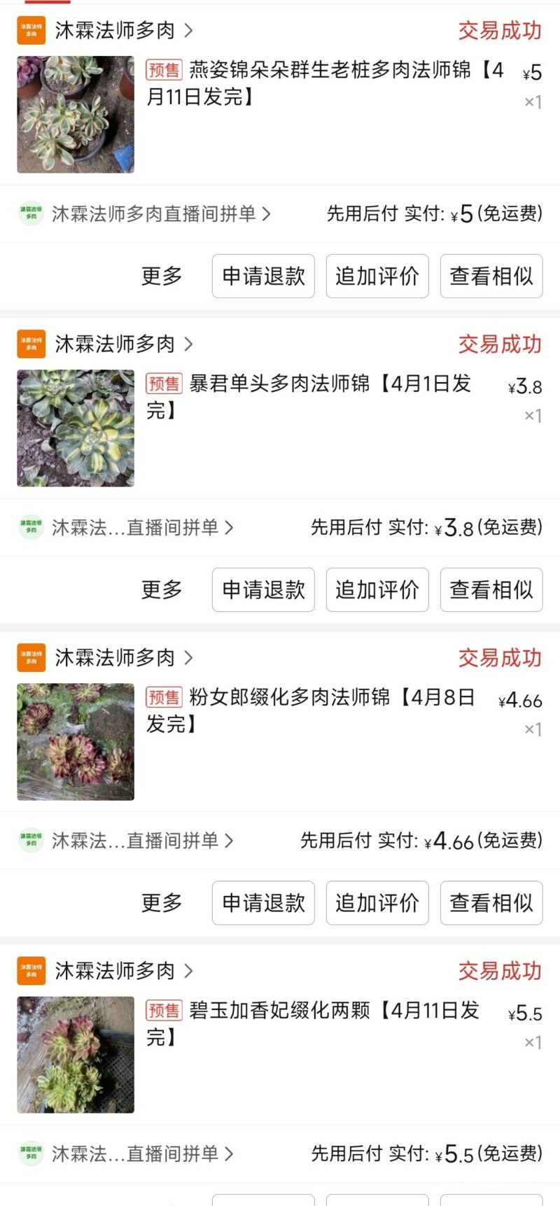 推荐一家卖法师的多肉
