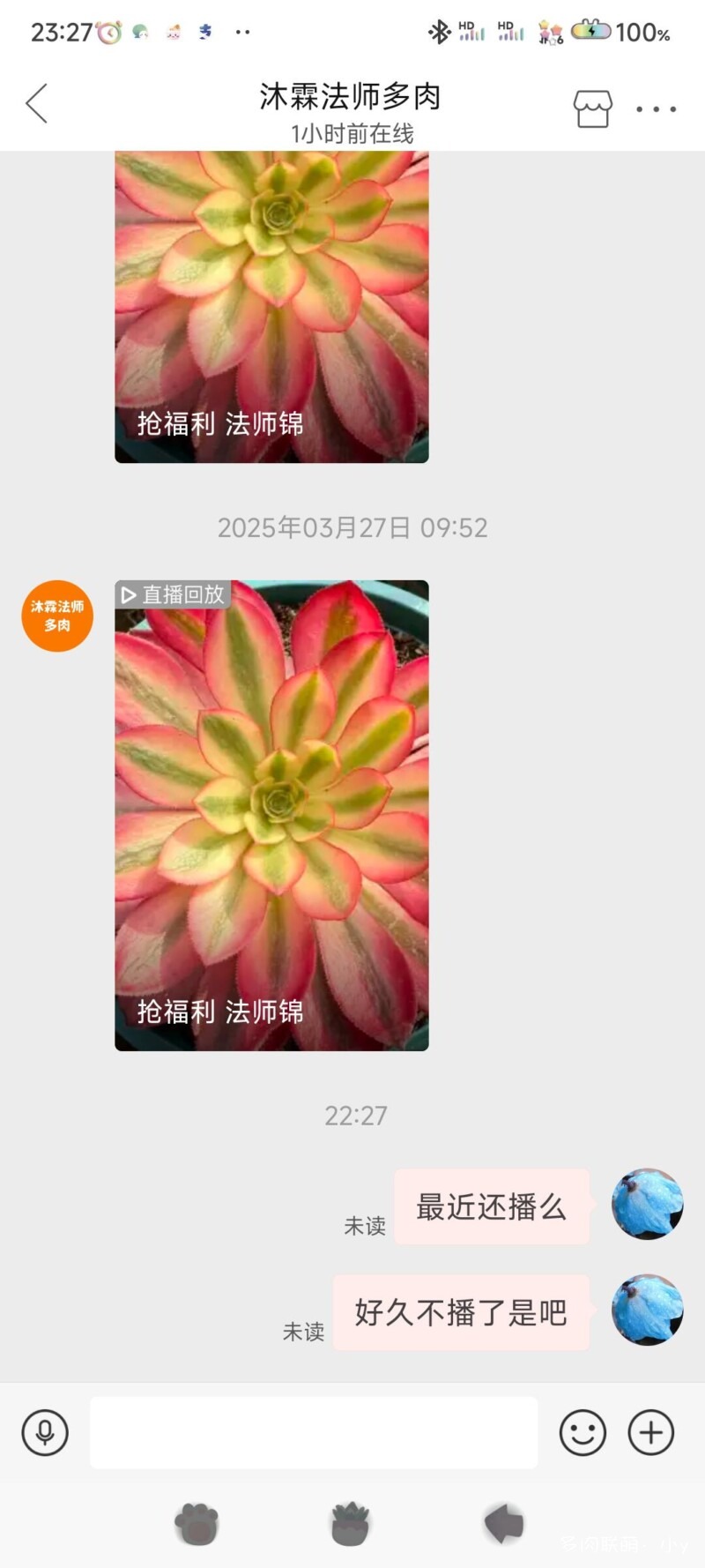 推荐一家卖法师的多肉