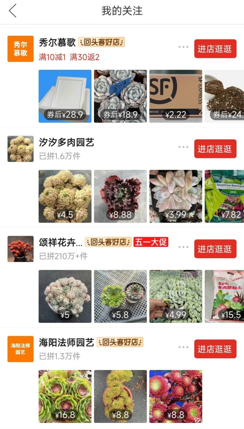 值得购买的多肉店铺