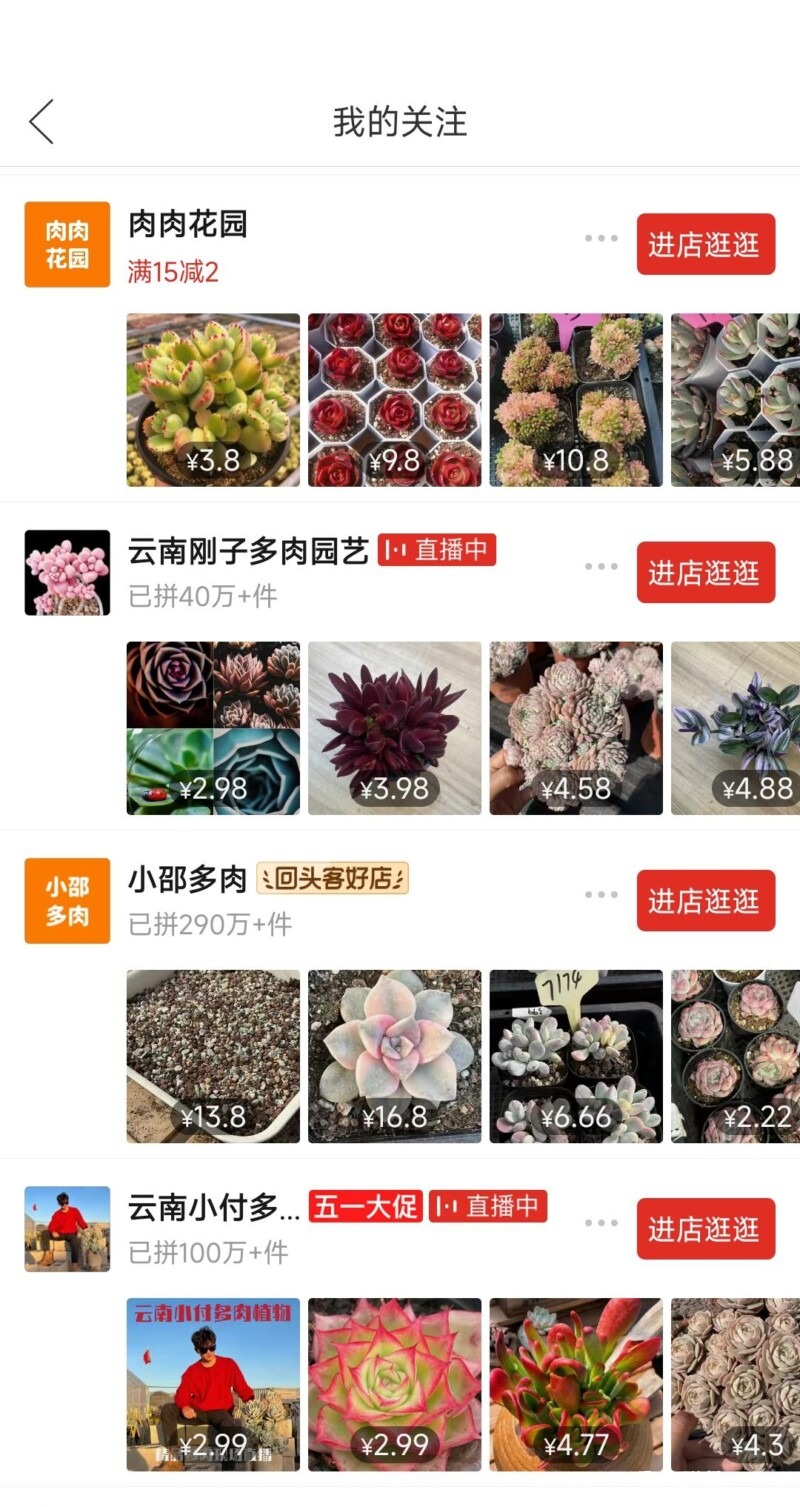 值得购买的多肉店铺